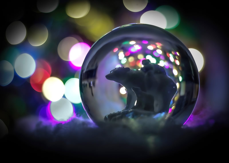 Snow Globe Refracted by Liz Hextall